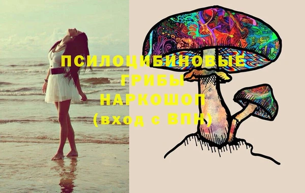 тгк Аркадак