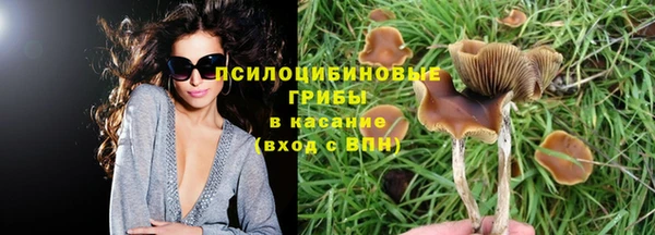 тгк Аркадак